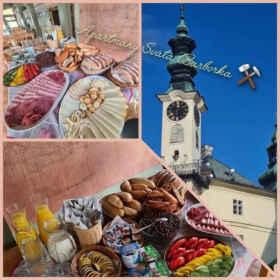 Apartmany Svaeta Barborka Banská Štiavnica エクステリア 写真